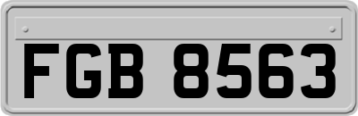 FGB8563