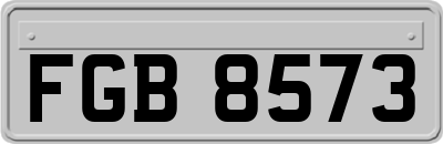 FGB8573