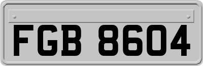 FGB8604