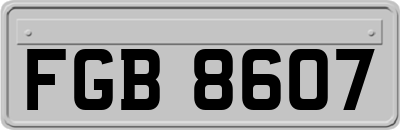 FGB8607