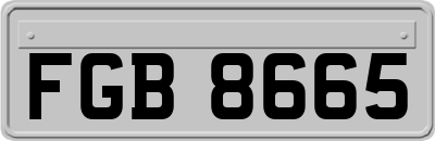 FGB8665
