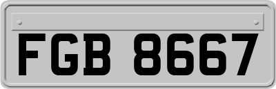 FGB8667