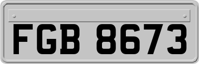 FGB8673