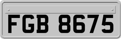 FGB8675