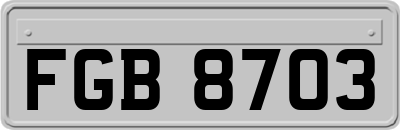 FGB8703