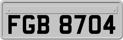 FGB8704