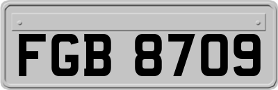 FGB8709