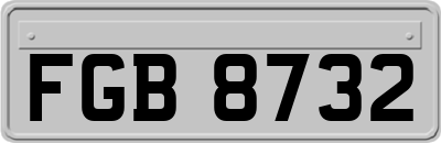 FGB8732