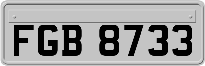 FGB8733