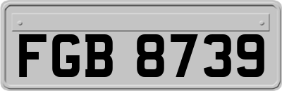 FGB8739