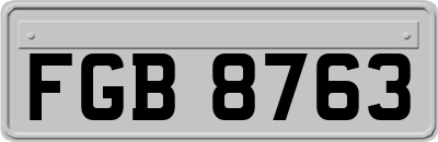 FGB8763
