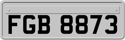 FGB8873