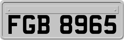 FGB8965