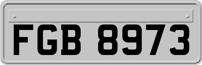 FGB8973