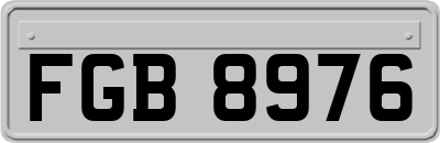 FGB8976
