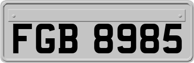 FGB8985
