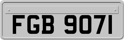 FGB9071