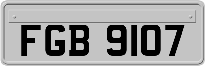 FGB9107