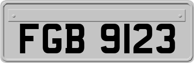 FGB9123