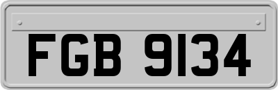 FGB9134