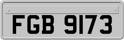 FGB9173
