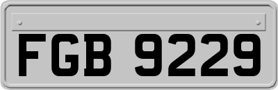 FGB9229