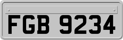 FGB9234
