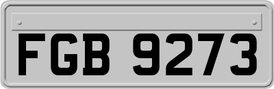FGB9273