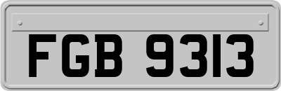 FGB9313