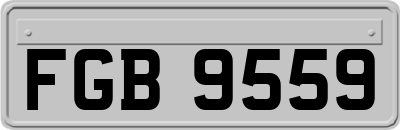 FGB9559