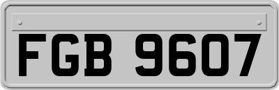 FGB9607