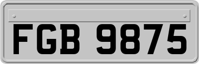 FGB9875