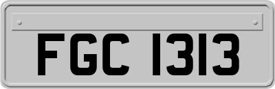 FGC1313