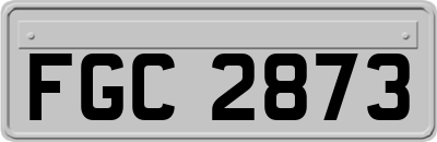FGC2873