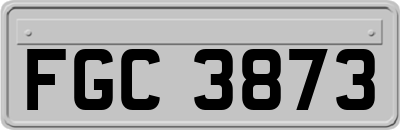 FGC3873
