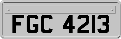 FGC4213