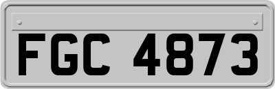 FGC4873