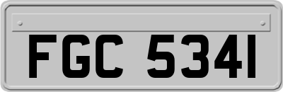 FGC5341
