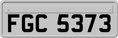 FGC5373