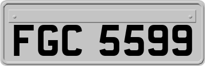 FGC5599