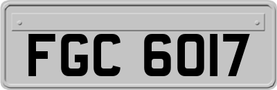 FGC6017