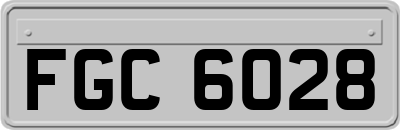 FGC6028