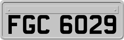FGC6029