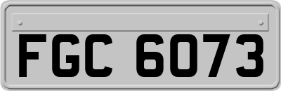 FGC6073