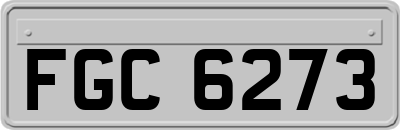 FGC6273