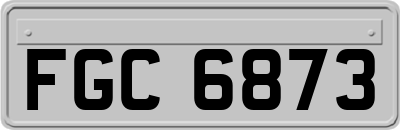 FGC6873