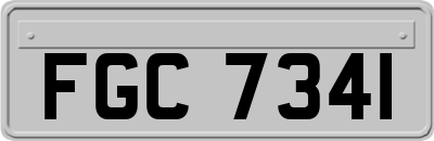FGC7341