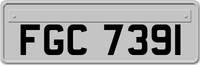 FGC7391