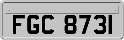 FGC8731