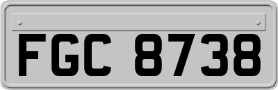 FGC8738